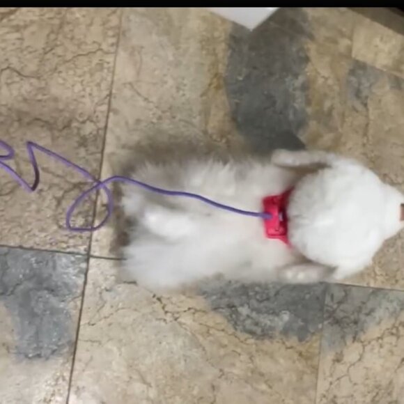 Furreal Friends GoGo My Walking Puppy White Plush Dog Leash Control Animated Pup - Picture 3 of 4